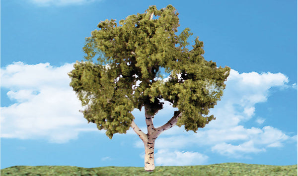 Classics Tree, Waters Edge 2-3" (4)