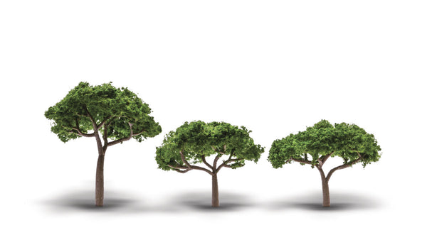 2" - 3 1/2" CANOPY TREES 3/PKG