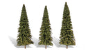 6" - 7" FOREVER GREEN 3/PK