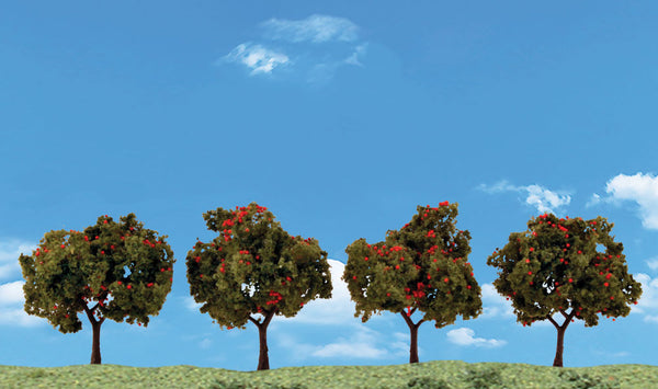 2" - 3" APPLE TREES 4/PK