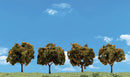 2" - 3" ORANGE TREES 4/PK