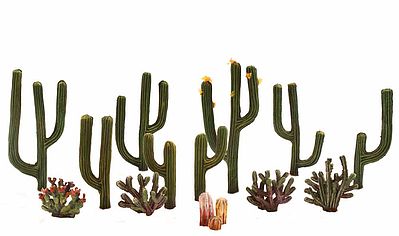 1/2" - 2 1/2" CACTUS PLANTS 13/PK