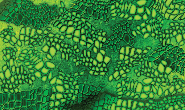 GATOR BODY SKIN