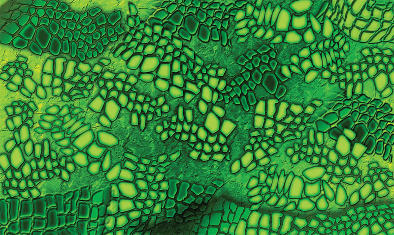 GATOR BODY SKIN