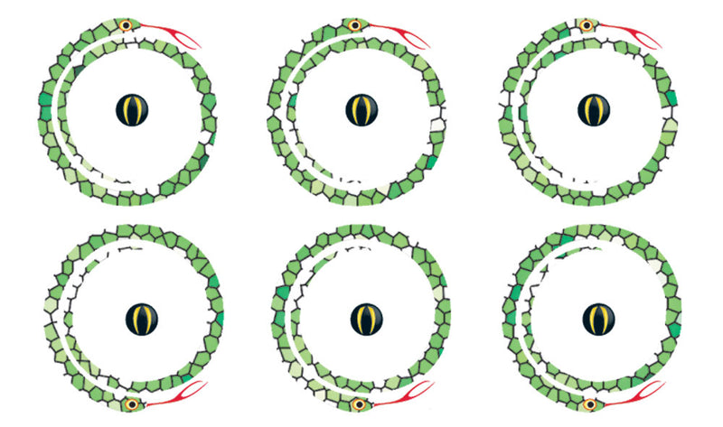 GREEN SNAKE WHEEL FLARE