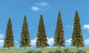 EVERGREEN TREE 5/PK 2"-3 1/2"