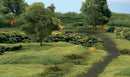 SOIL