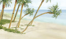SAND