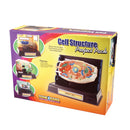 CELL STRUCTURE PROJ PK