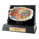 CELL STRUCTURE PROJ PK