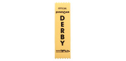 PC RACE OFFICIAL/ AWARD RIBBON