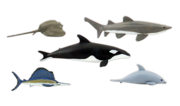 MARINE LIFE
