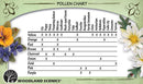 POLLEN - PURPLE