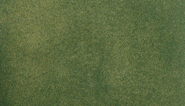 33 X 50 GREEN GRASS RG ROLL