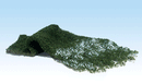 DARK GREEN FOLIAGE