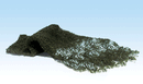 CONIFER GREEN FOLIAGE