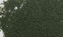 CONIFER GREEN FOLIAGE