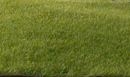 STATIC GRASS DARK GREEN 2MM