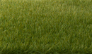 STATIC GRASS DARK GREEN 4MM