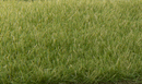 STATIC GRASS MEDIUM GREEN 4MM
