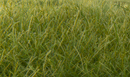 STATIC GRASS DARK GREEN 12MM