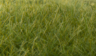 STATIC GRASS DARK GREEN 12MM