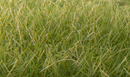 STATIC GRASS MEDIUM GREEN 12MM