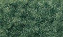 DARK GREEN FLOCK