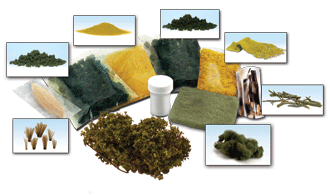 SCENERY DETAILS LEARNING KIT